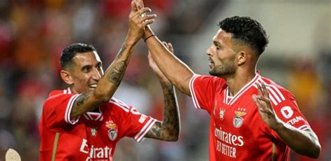 canal benfica em direto